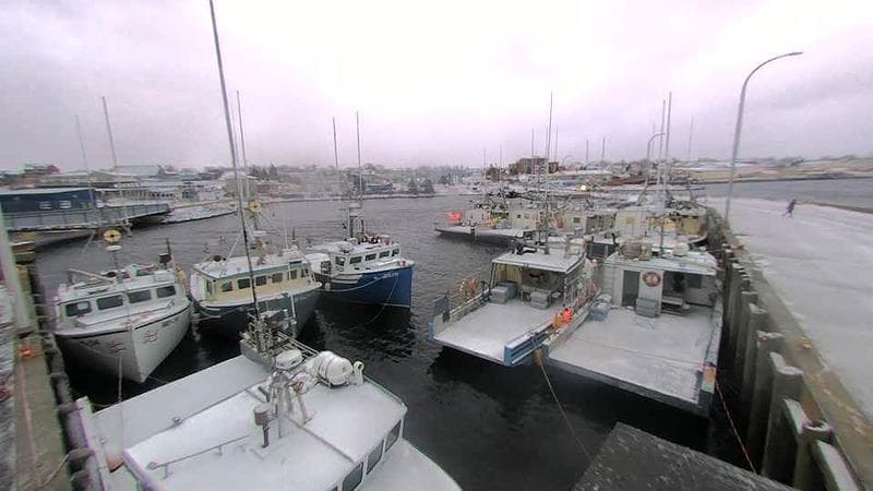 Lobster Rock Wharf East