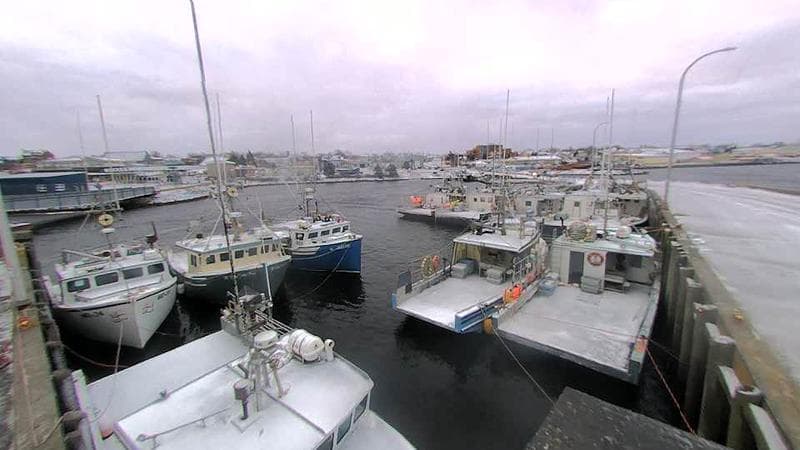 Lobster Rock Wharf East