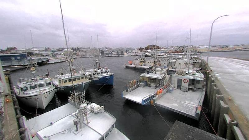 Lobster Rock Wharf East