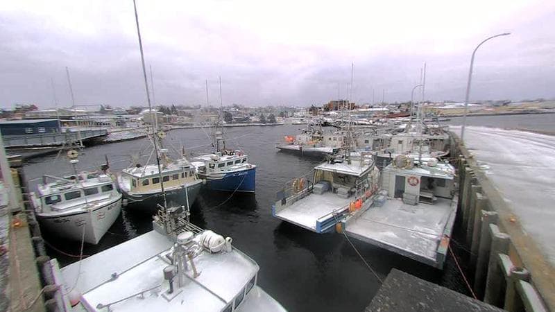 Lobster Rock Wharf East