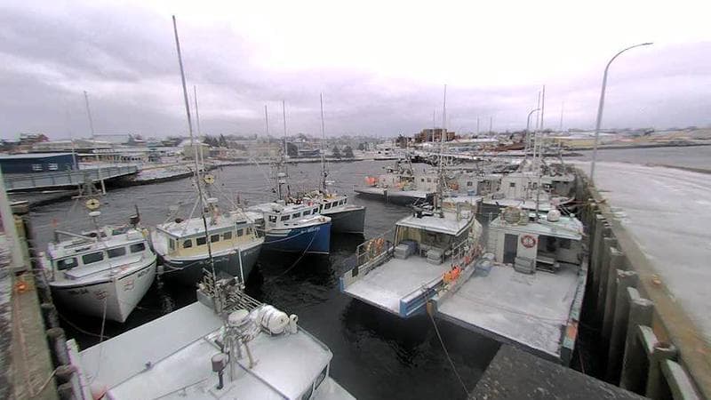 Lobster Rock Wharf East