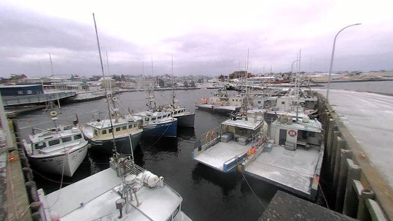 Lobster Rock Wharf East