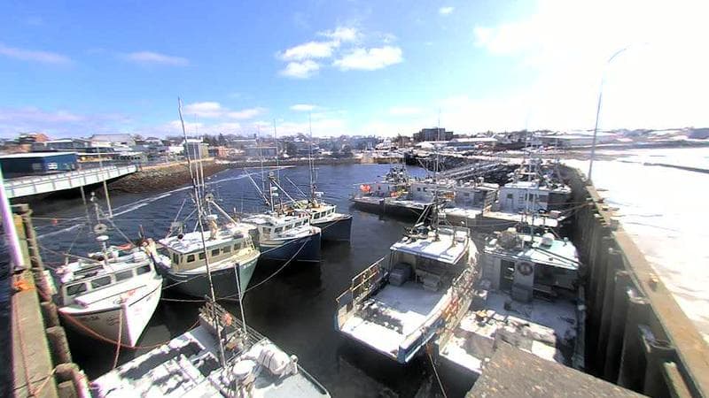 Lobster Rock Wharf East