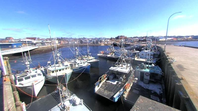 Lobster Rock Wharf East