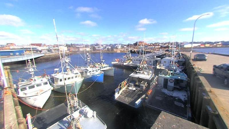 Lobster Rock Wharf East