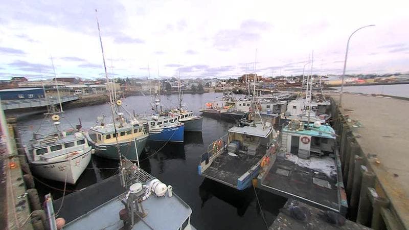 Lobster Rock Wharf East