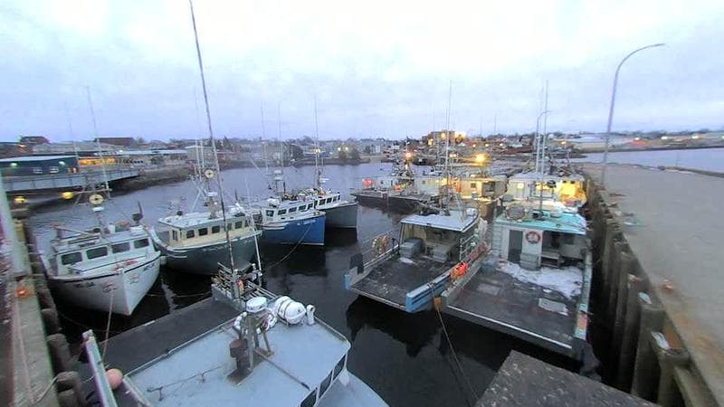 Lobster Rock Wharf East