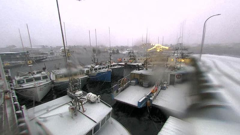 Lobster Rock Wharf East