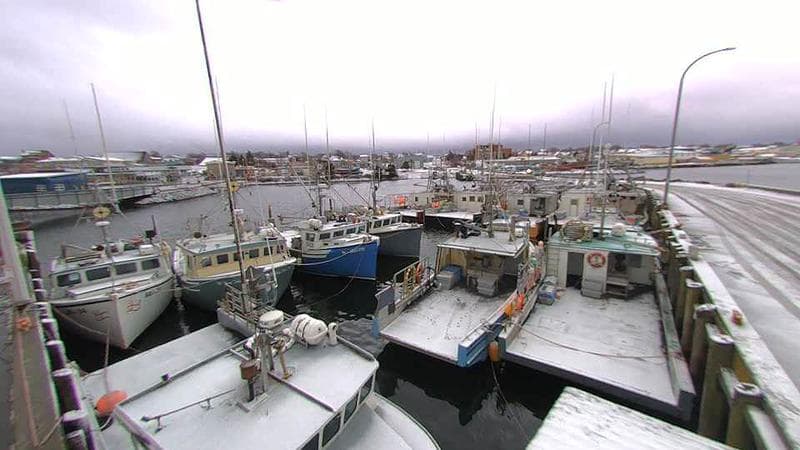 Lobster Rock Wharf East