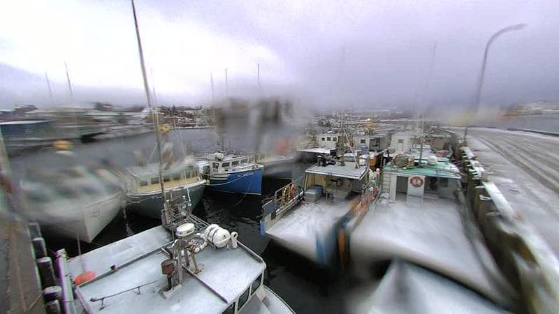 Lobster Rock Wharf East