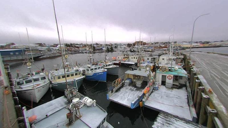 Lobster Rock Wharf East
