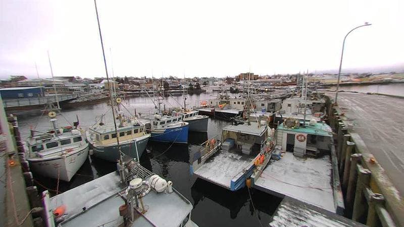 Lobster Rock Wharf East