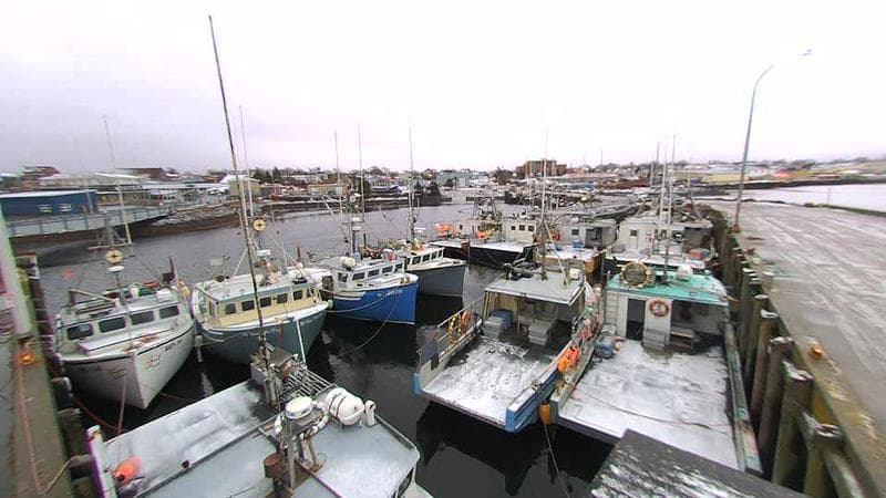 Lobster Rock Wharf East