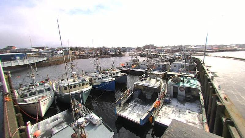 Lobster Rock Wharf East