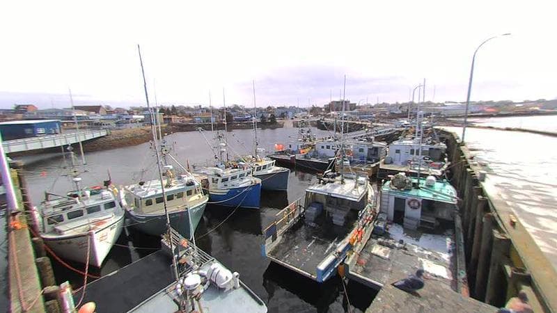Lobster Rock Wharf East