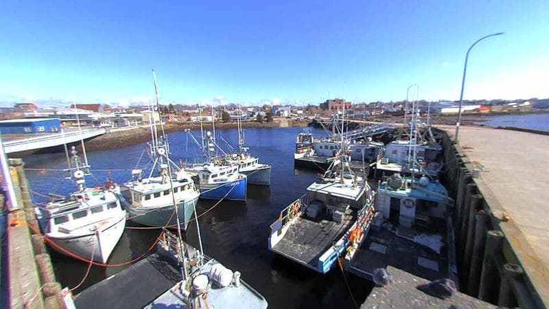 Lobster Rock Wharf East