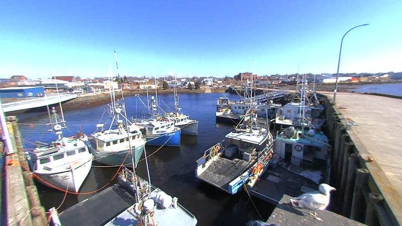 Lobster Rock Wharf East