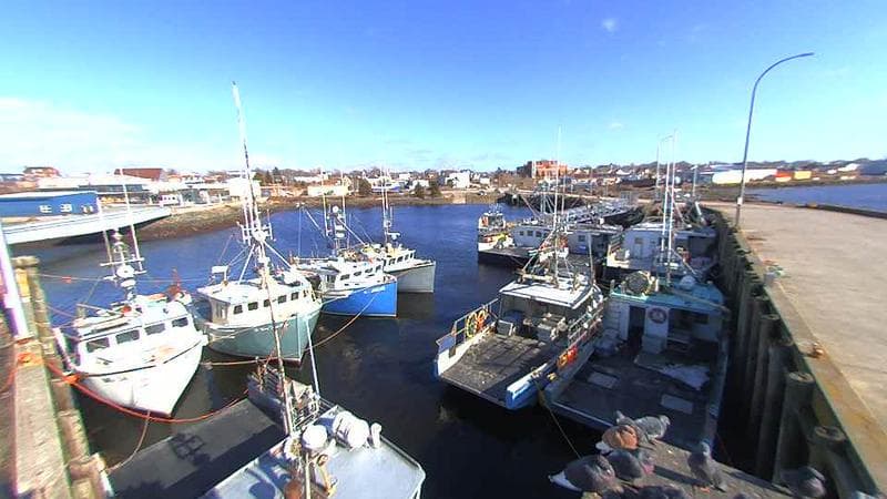 Lobster Rock Wharf East