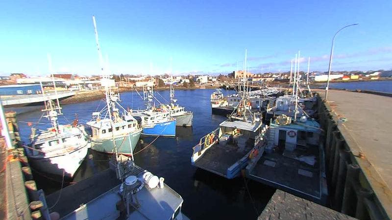 Lobster Rock Wharf East