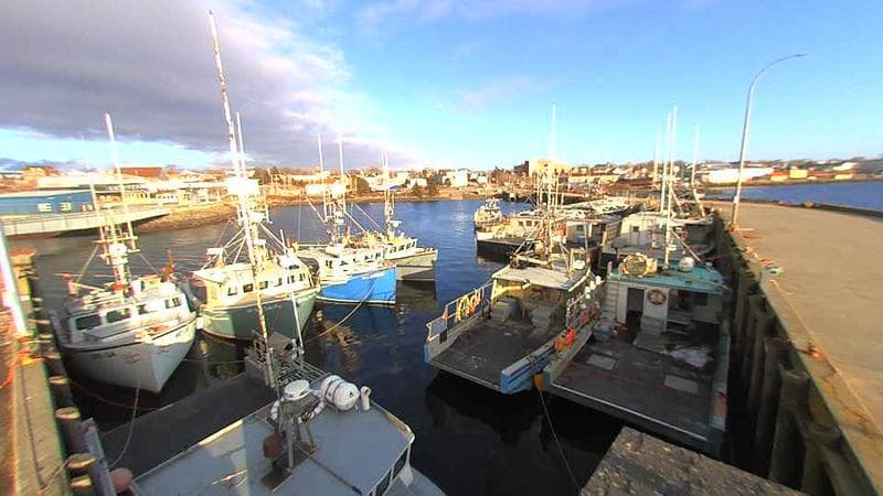Lobster Rock Wharf East