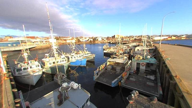 Lobster Rock Wharf East