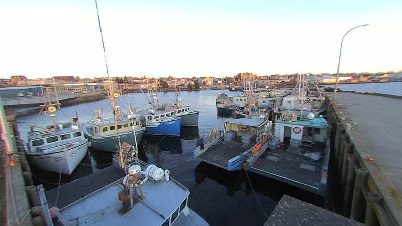 Lobster Rock Wharf East