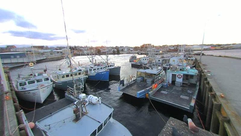 Lobster Rock Wharf East