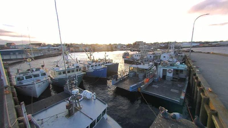 Lobster Rock Wharf East