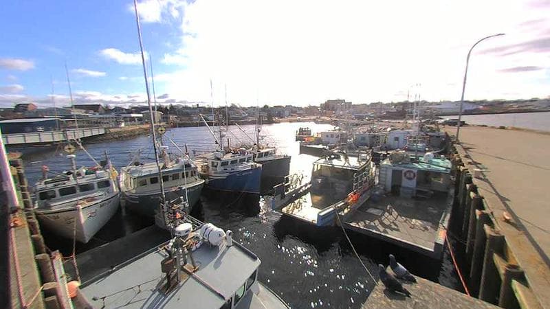 Lobster Rock Wharf East