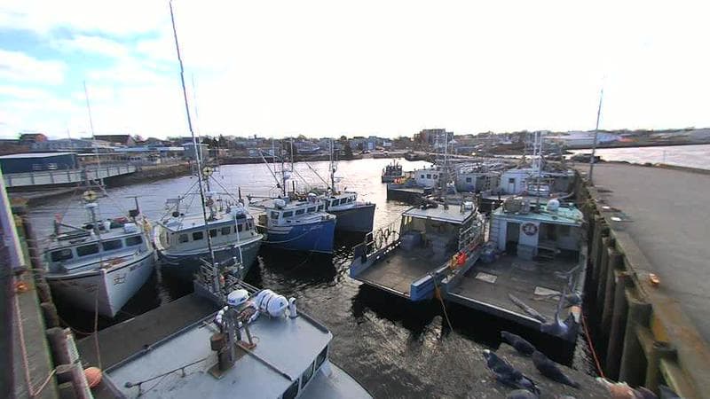 Lobster Rock Wharf East