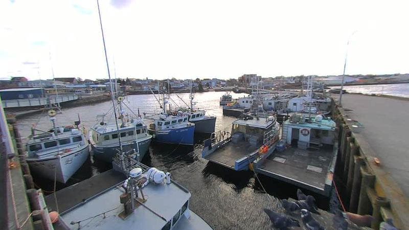 Lobster Rock Wharf East