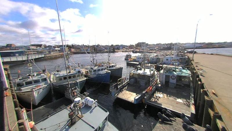 Lobster Rock Wharf East