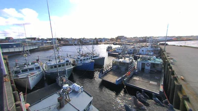 Lobster Rock Wharf East
