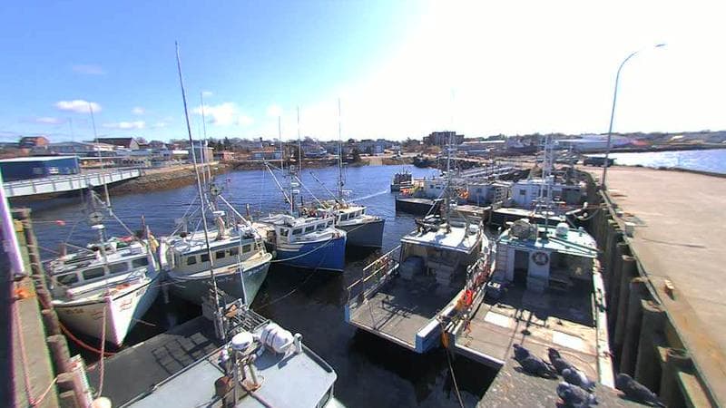 Lobster Rock Wharf East