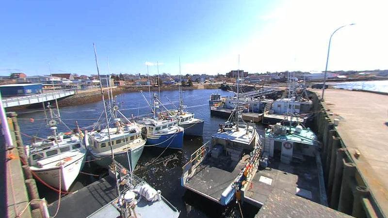 Lobster Rock Wharf East