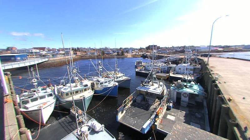 Lobster Rock Wharf East