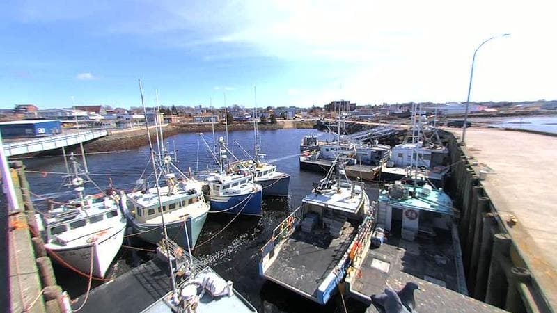 Lobster Rock Wharf East