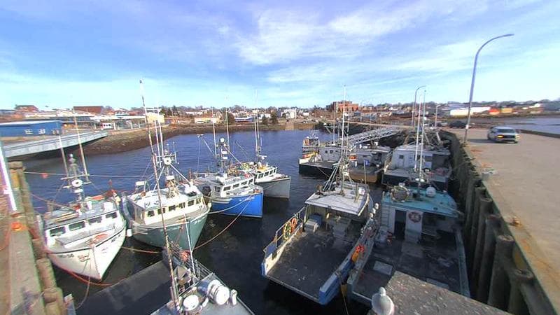 Lobster Rock Wharf East