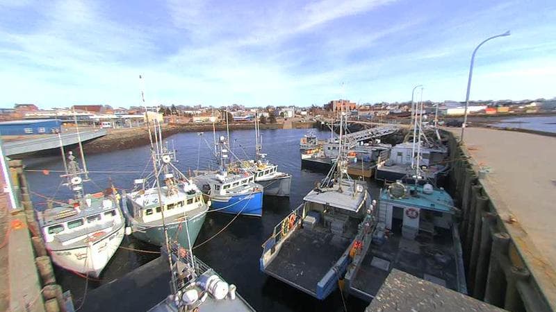 Lobster Rock Wharf East