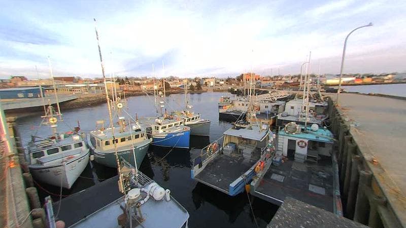 Lobster Rock Wharf East