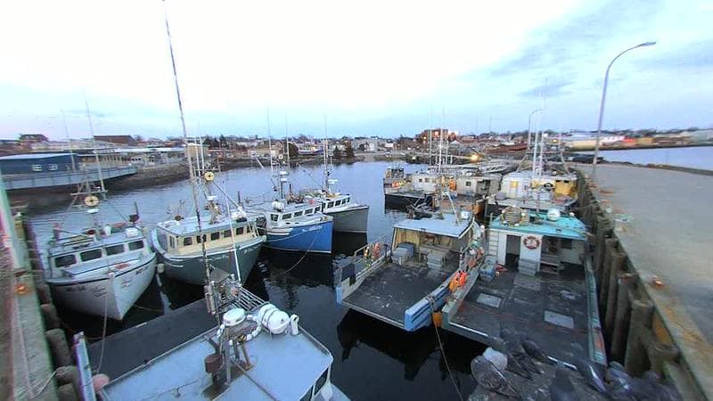 Lobster Rock Wharf East