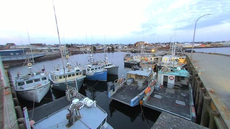 Lobster Rock Wharf East