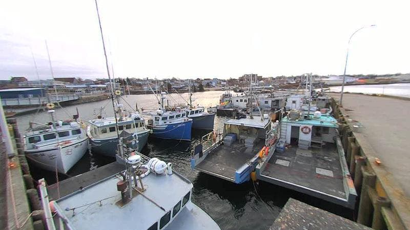 Lobster Rock Wharf East