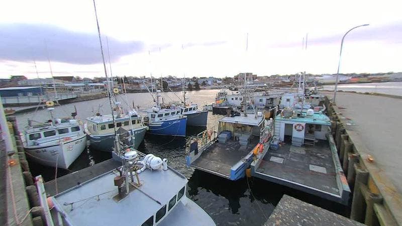 Lobster Rock Wharf East