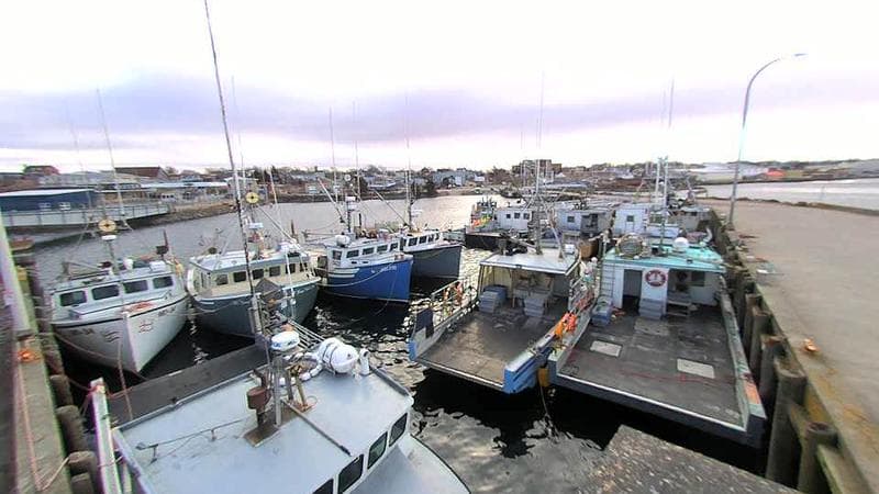 Lobster Rock Wharf East