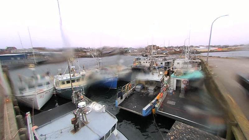 Lobster Rock Wharf East