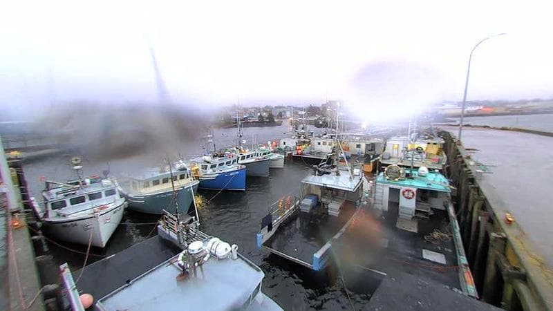 Lobster Rock Wharf East