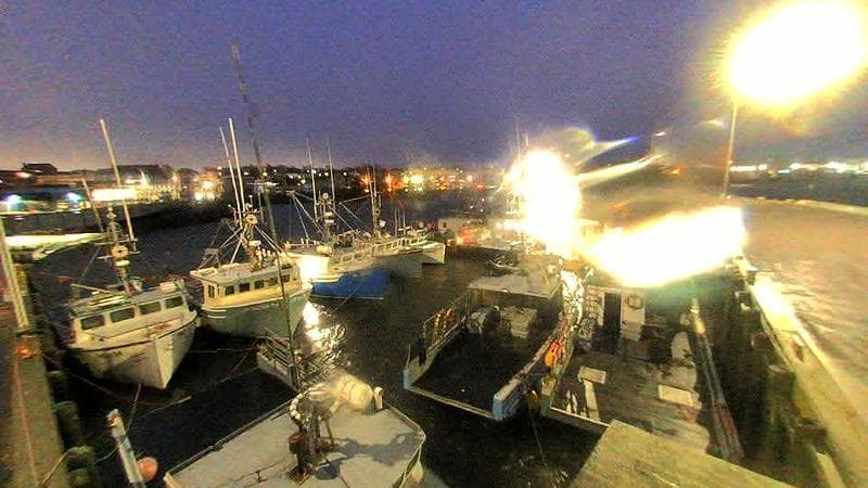 Lobster Rock Wharf East