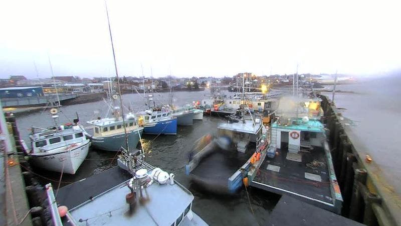 Lobster Rock Wharf East