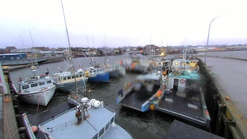Lobster Rock Wharf East